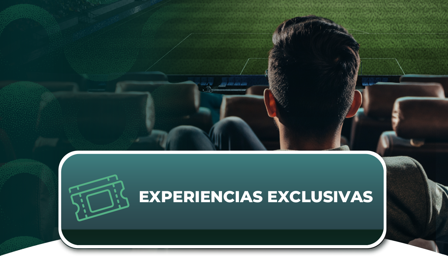 Experiencias exclusivas