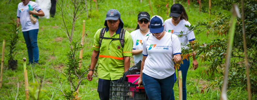 grupo de personas camino a sembrar árboles