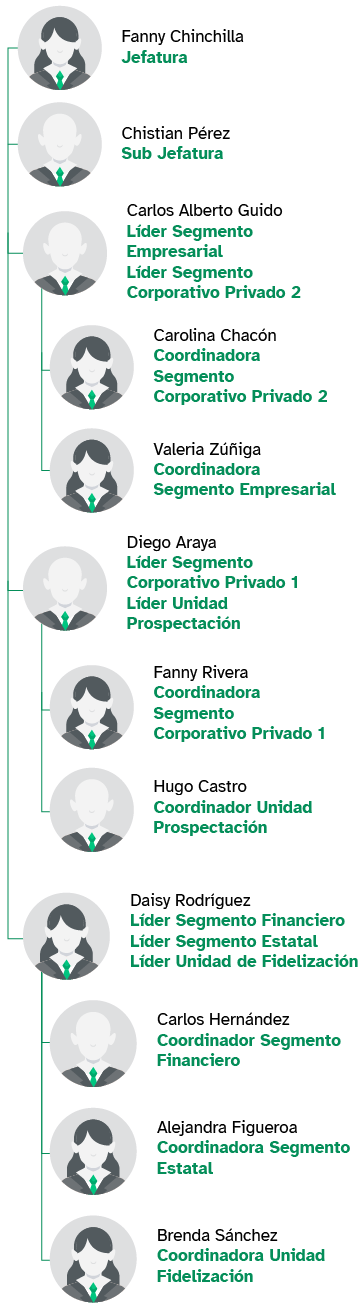 Dirección de Cliente Corporativo y Empresarial Diagrama organizacional de la Dirección de Cliente Corporativo y Empresarial