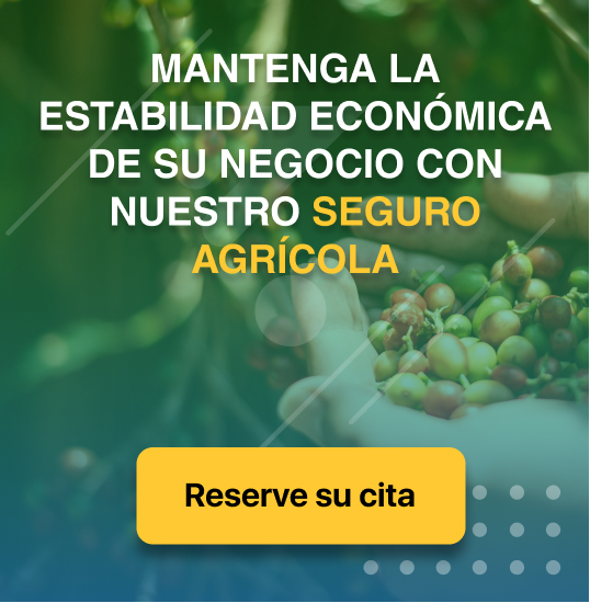 Imagen: Mantenga la estabilidad ecónomica de su negocio con nuestro seguro agrícola, reserve su cita