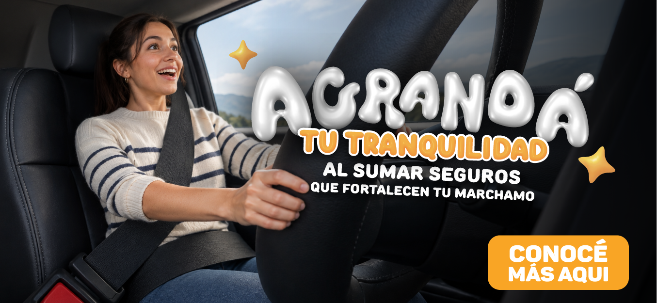 Seguro del Marchamo