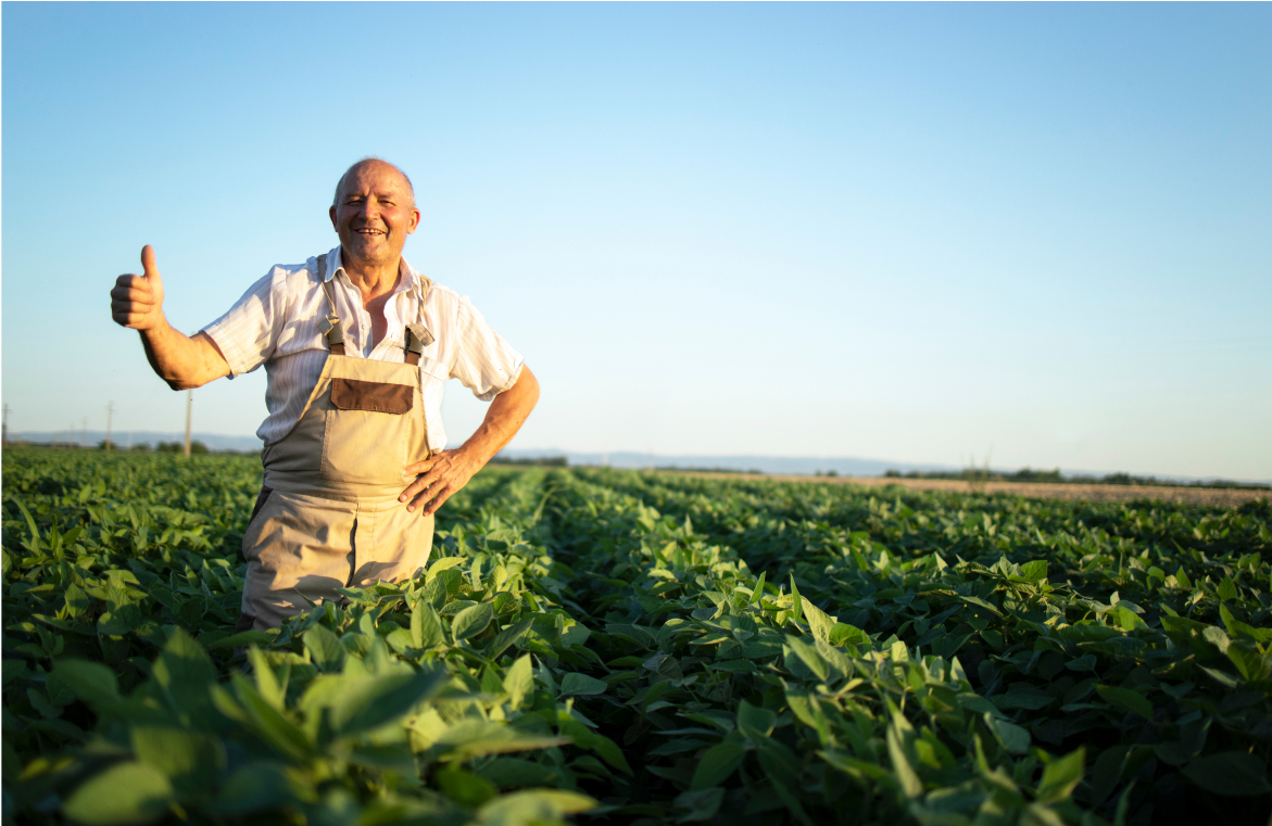 Agricultor sonriendo en medio de sus siembras con un cielo despejado