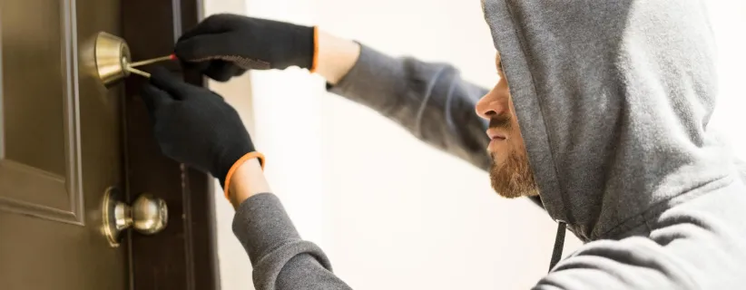 Banner Seguro contra robo